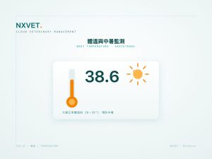 狗狗貓咪體溫幾度正常？發燒與中暑的居家體溫監測