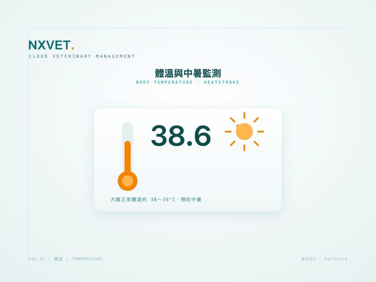 狗狗貓咪體溫幾度正常？發燒與中暑的居家體溫監測
