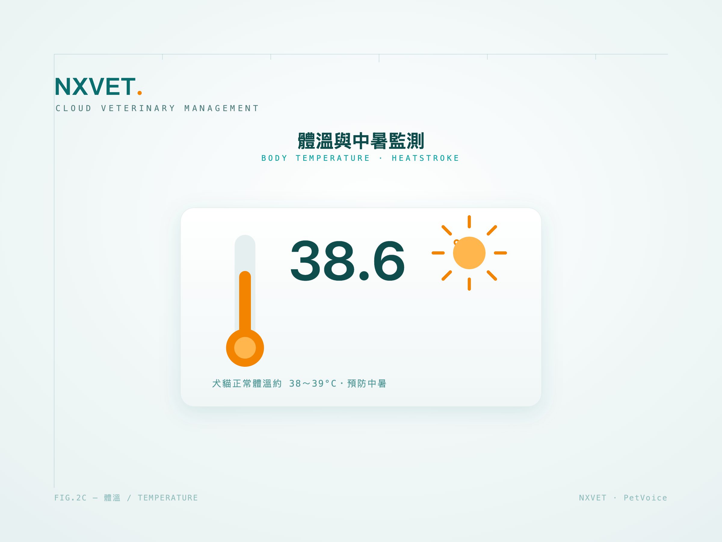 狗狗貓咪體溫幾度正常？發燒與中暑的居家體溫監測